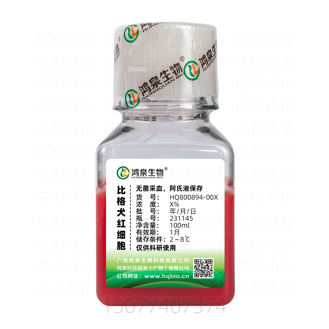 比格犬红细胞